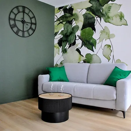 Le Sparn - Cosy Centre Ville Lumineux Apartment *
