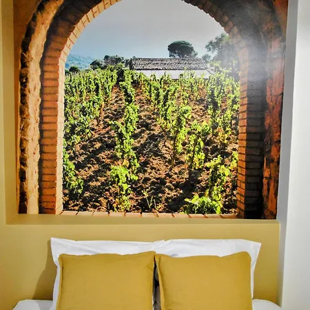 Apartment Le Sparn - Cosy Centre Ville Lumineux *